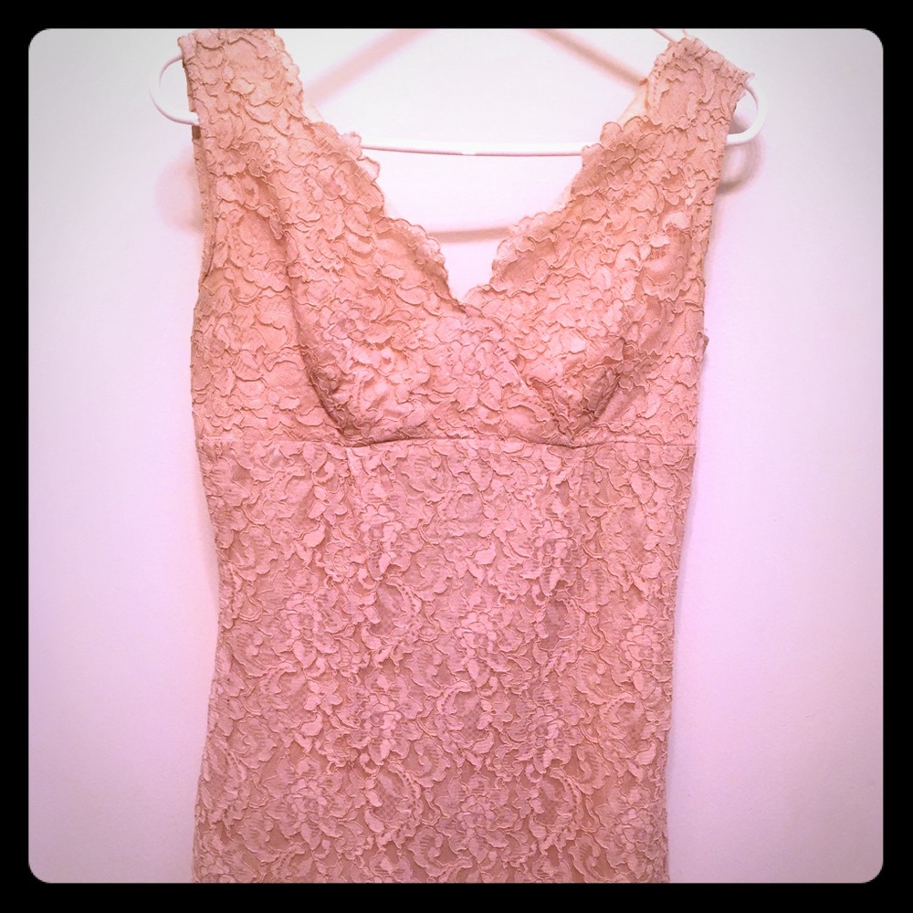Vintage Blush Lace Lilli Diamond Mini Dress AS IS